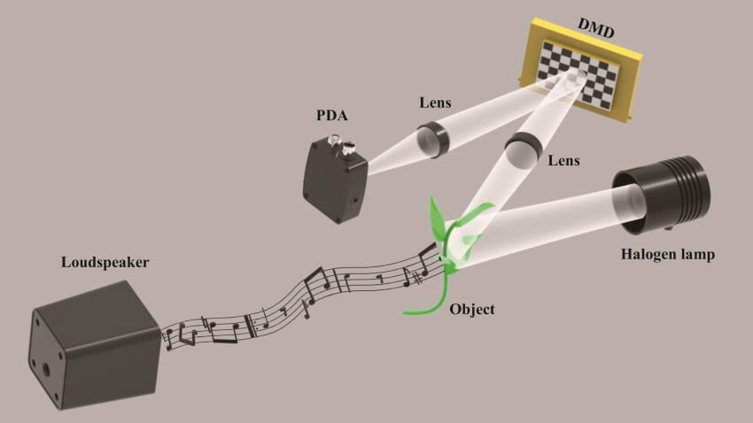An illustration of a device detecting sound by bouncing light off of a leaf