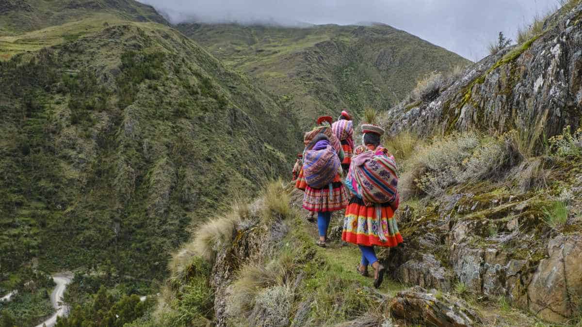 Peru, province of cuzco, reforestation of the andes by quechua communities