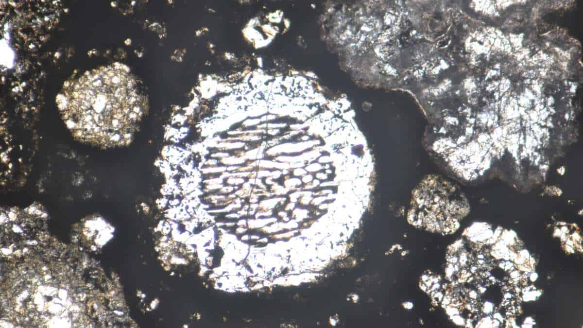 Chondrules in a meteorite sample