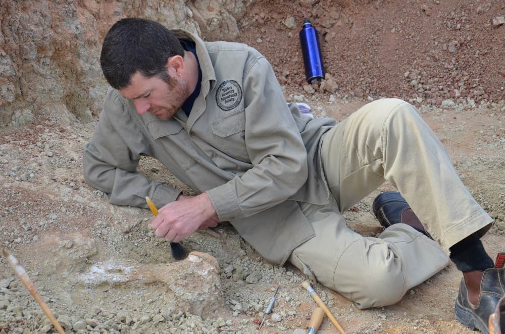Palaeontologist at dig