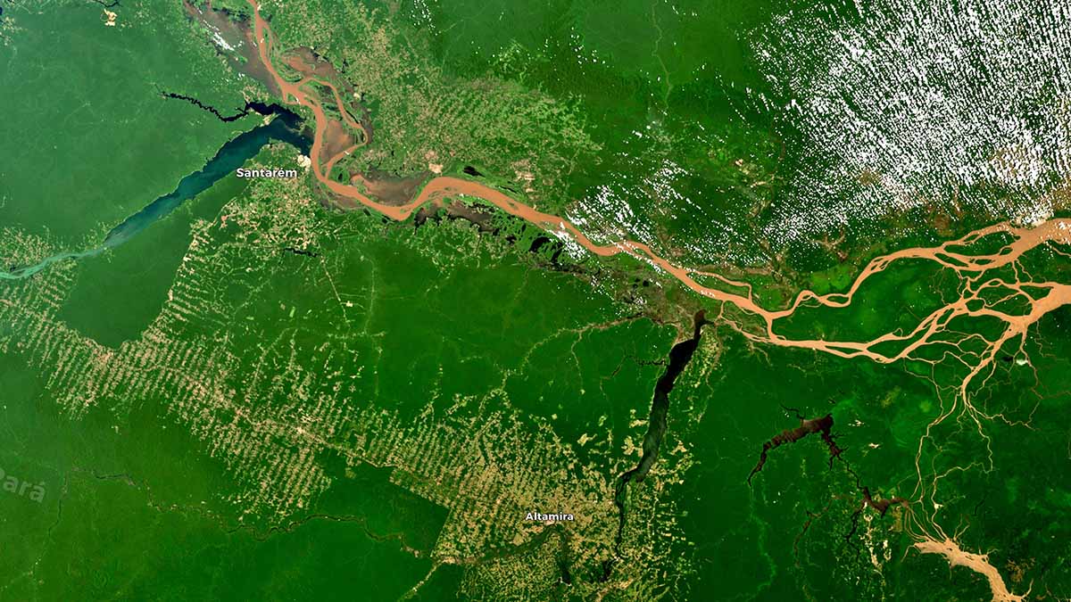 The amazon rainforest brazil 1200x675 1
