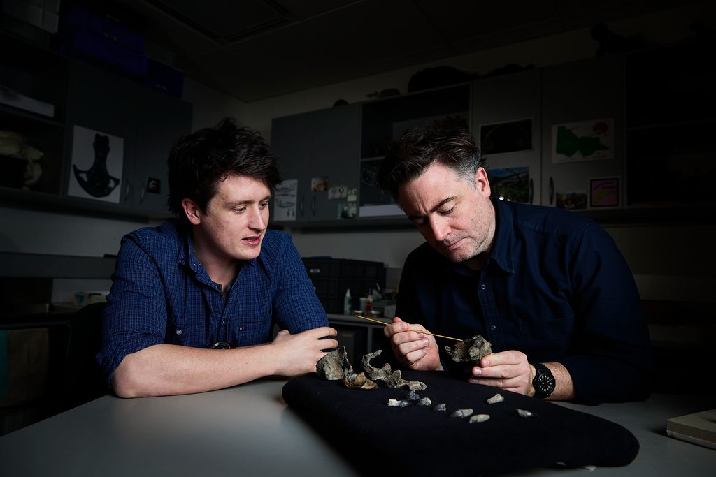Two palaeontologists with fossils in dark lab