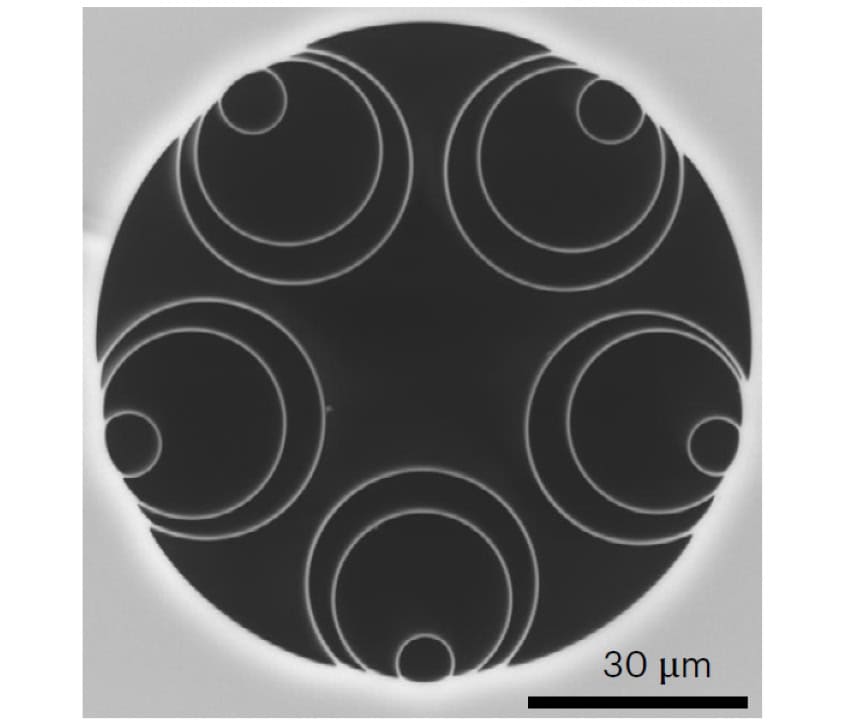 A grey-scale image of 5 lots of 3 concentric circles arranged in a petal formation within a larger circle