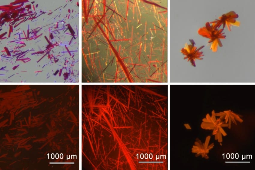 A collection of 6 images arranged into a grid pattern. They show long, thin crystals of red dye. The top images show the crystals under visible light, showing orange, red, pink and purple colours. The bottom images are of the same crystals under uv light and appear more red and orange.