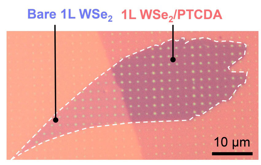 A layer of pink material with points of light uniformly spread out in a grid pattern
