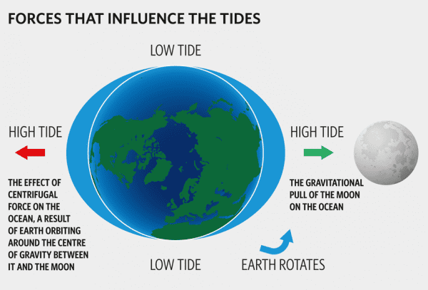 310314 wiis tides 4