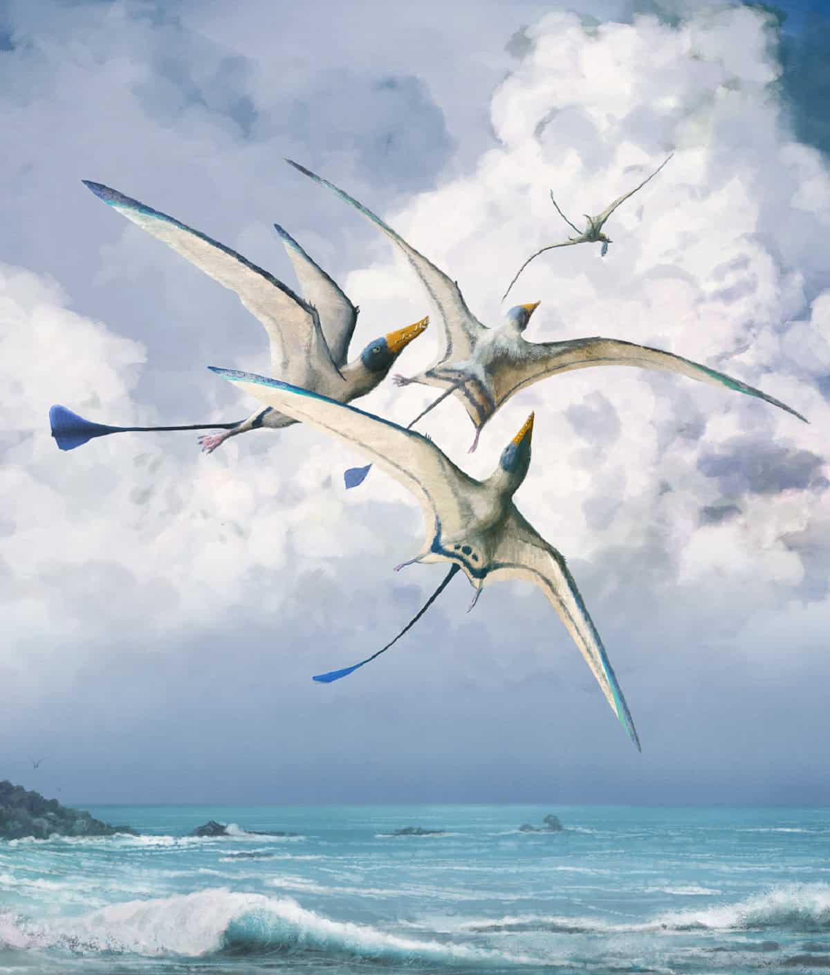 Why Pterosaurs Were the Weirdest Wonders on Wings