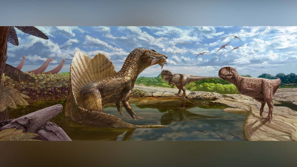 Scientists say dinosaurs were already disappearing before giant