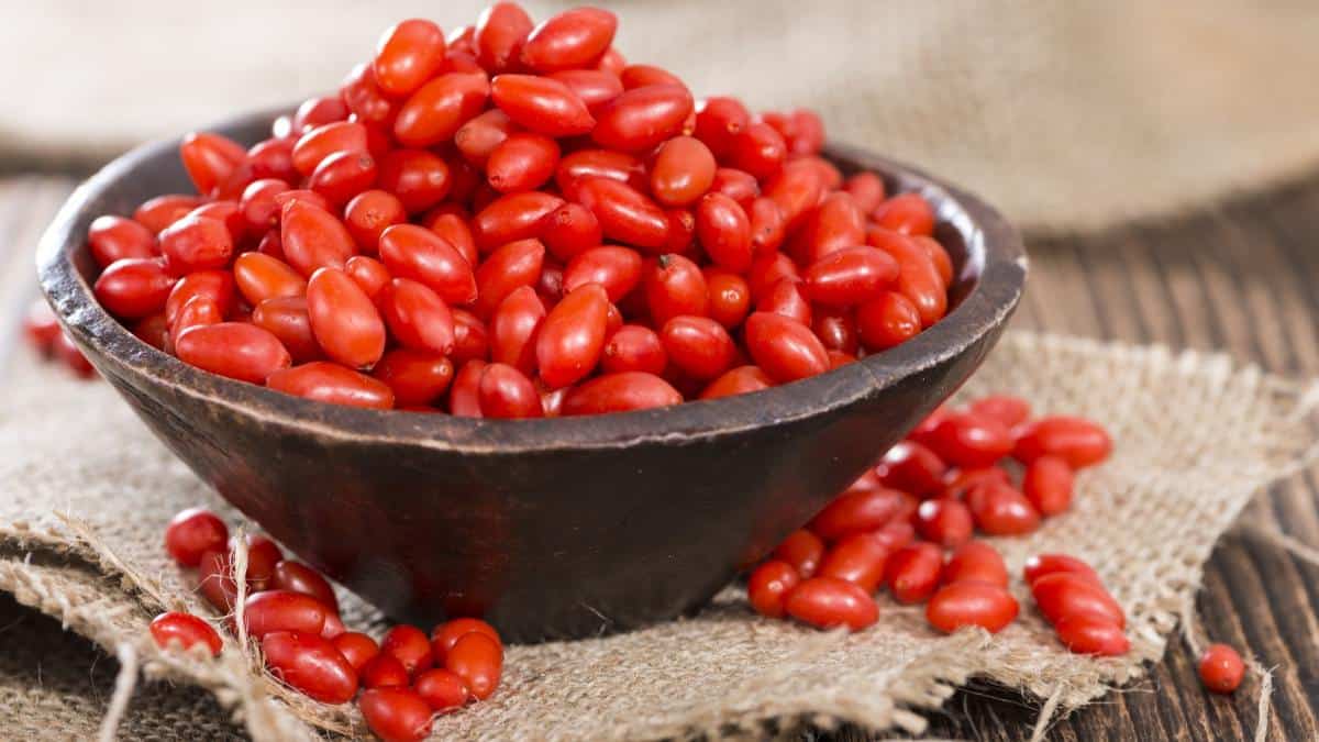 fresh goji berries in bowl