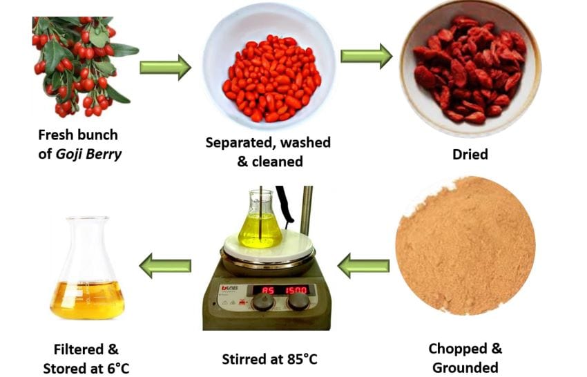 Diagram of goji berry preparation