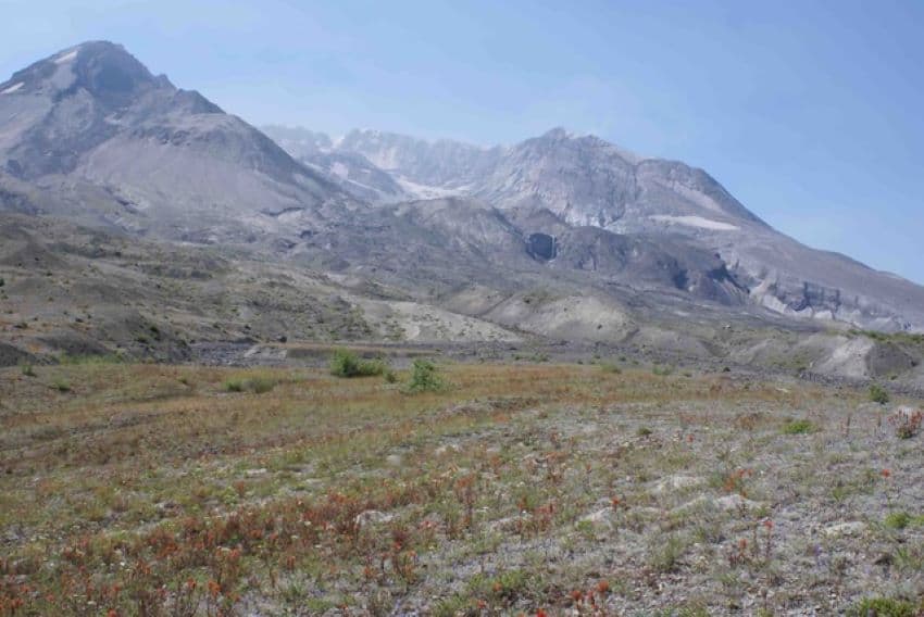 Mountains with greenery in foreground