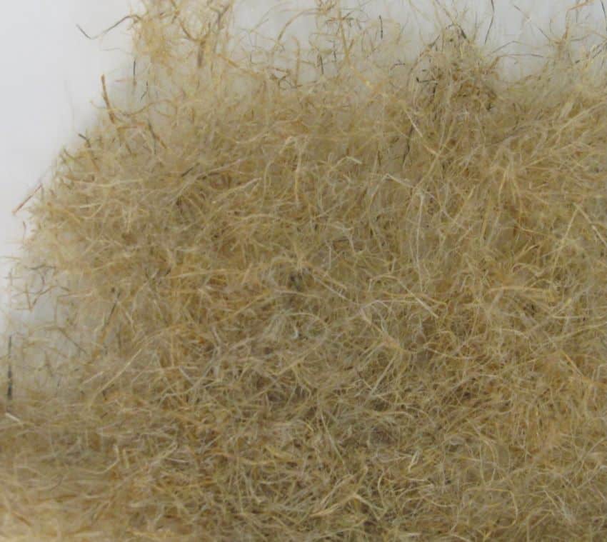 Pale fibres