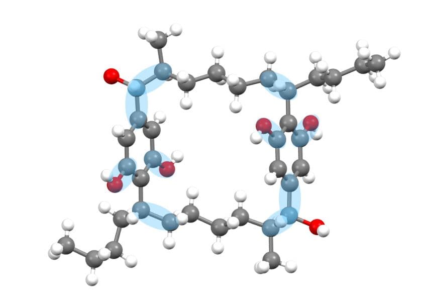 Molecule