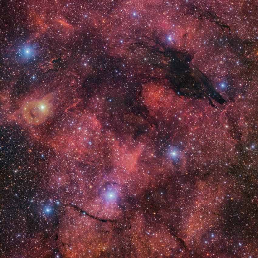 Dark cloudy nebula against starry background, in the shape of a wolf's head and front paws