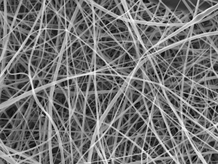 Electron microscope image of tiny fibres, representing nanopasta