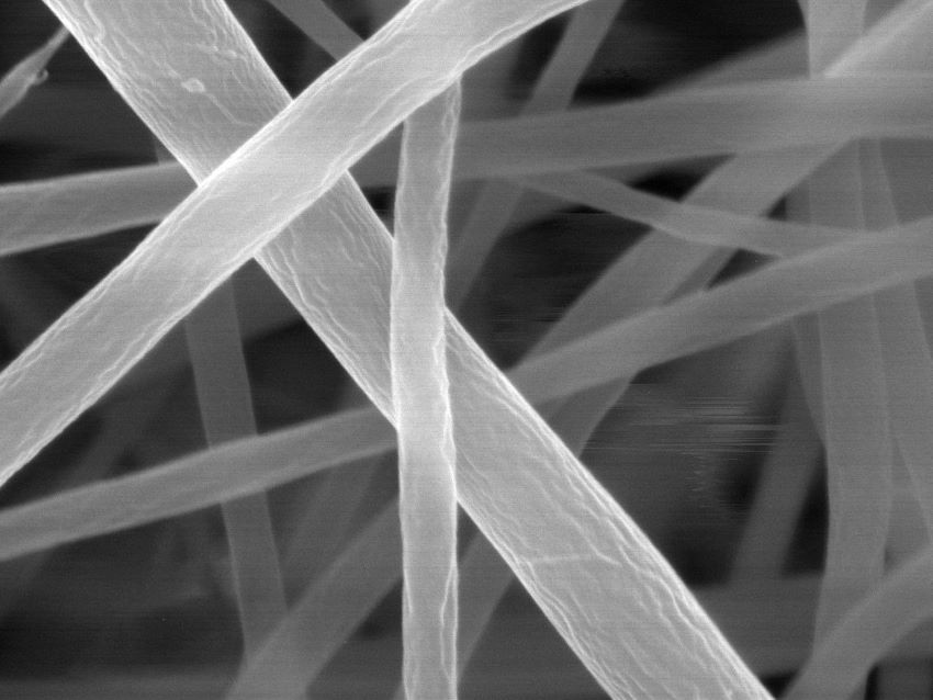 Electron microscope image of nanopasta fibres