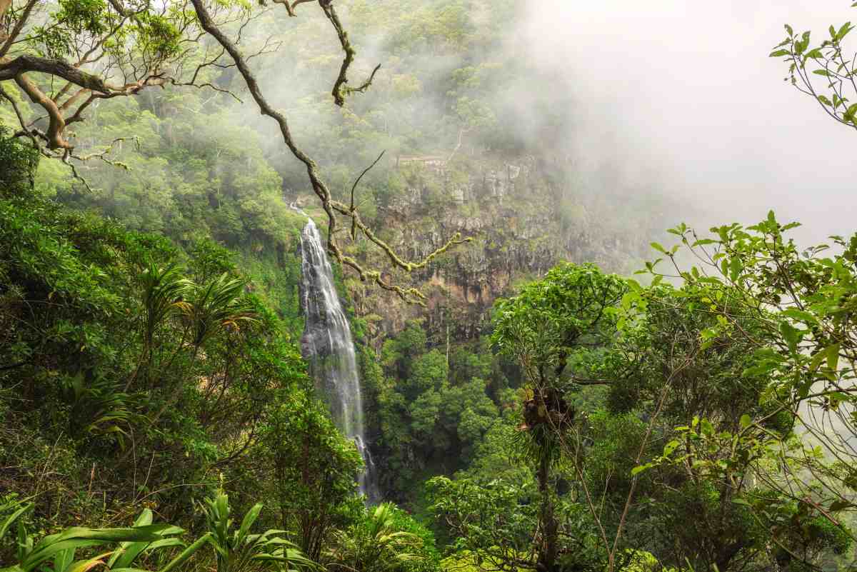 Morans falls located on Morans Creek in Gondwana Rainforests. The waterfall is situated within Lamington National Park in the Green Mountains, in the South East region of Queensland, Australia.