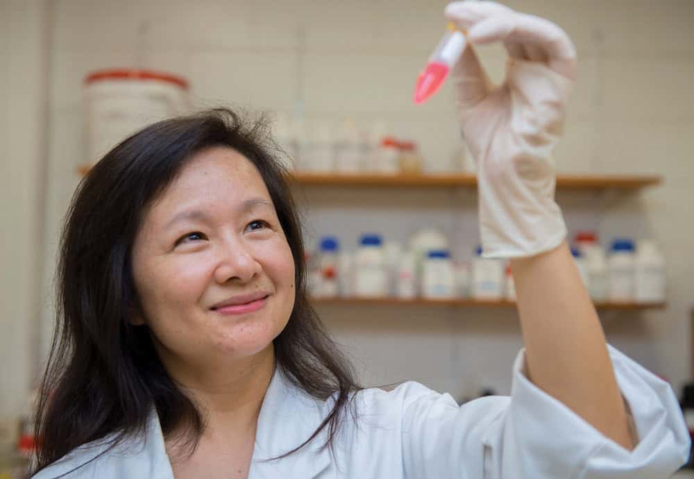 Professor qin li
