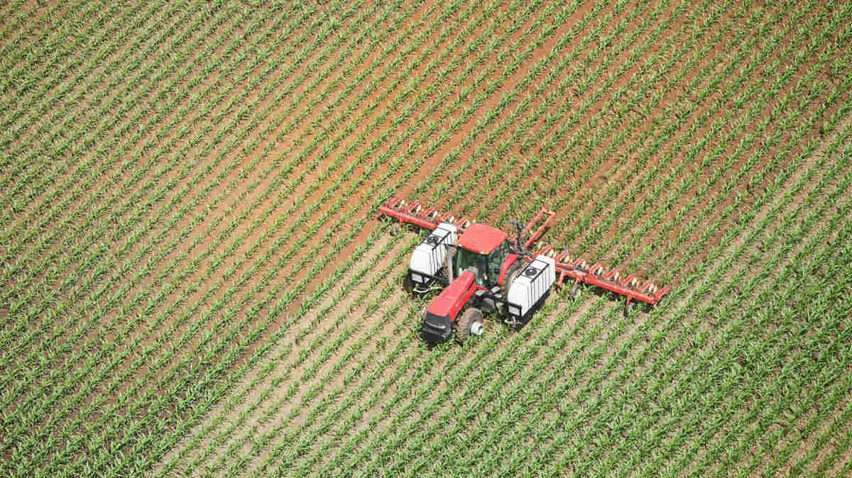 tractor applaying fertiliser to corn field from above