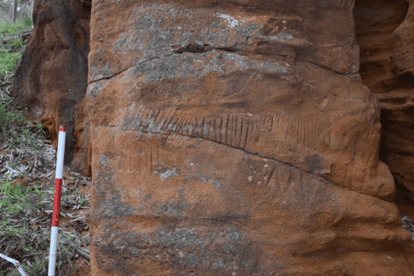 Thurk petroglyphs