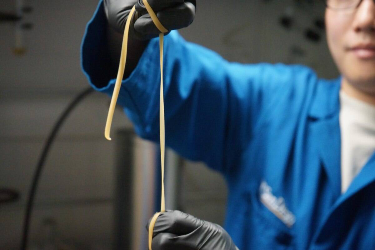 A scientist demonstrates a plastic.