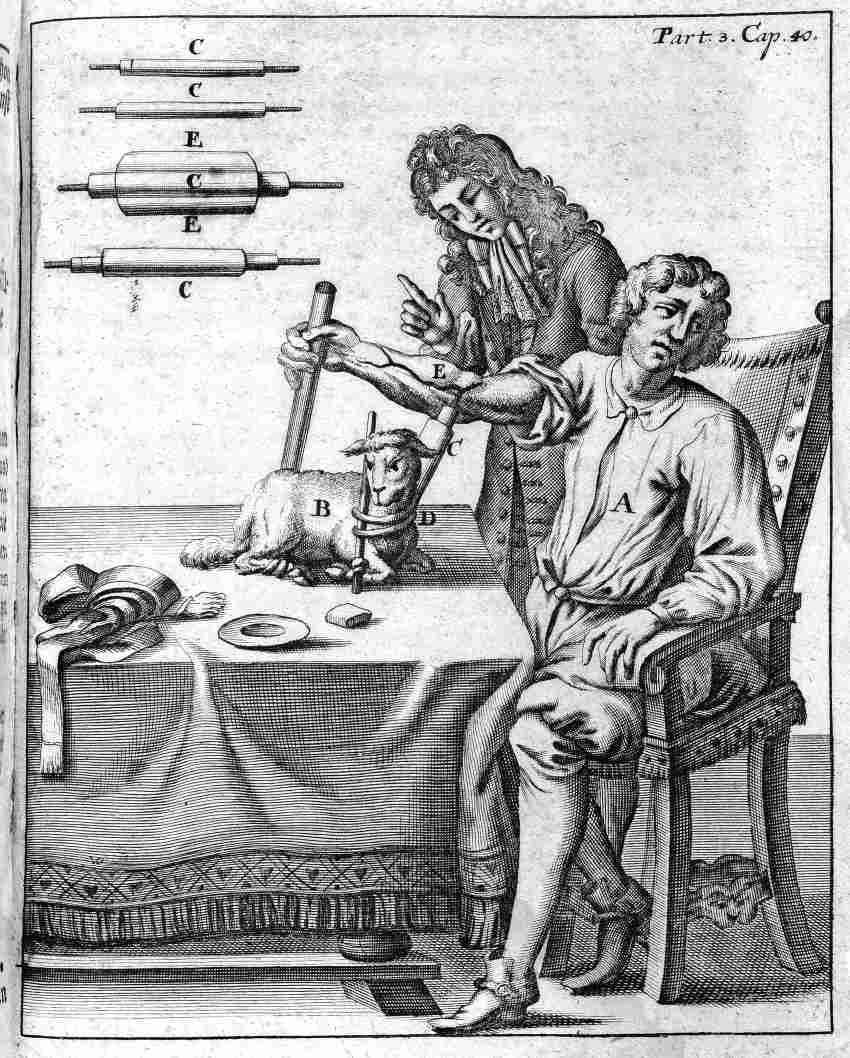 A black and white illustrated image in early 1700s style showing a man receiving a blood transfusion from a lamb