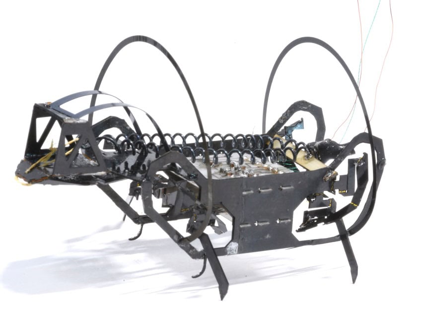 A vaguely bug-shaped robot made of grey metal, springs, and wires