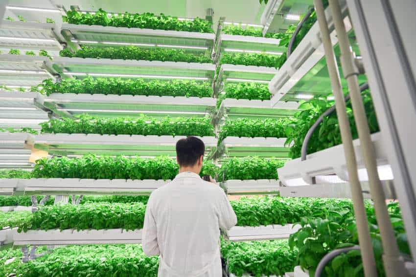 A vertical farm with stacked shelves of plants growing in controlled conditions.