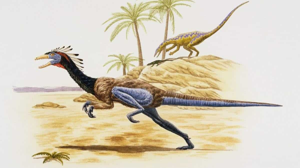 Artist impression of early dinosaur with feathers