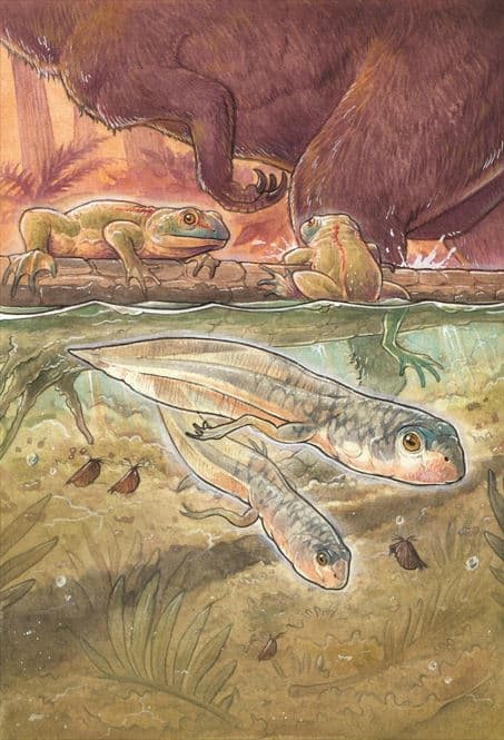 Illustration of two tadpoles frogs and dinosaur