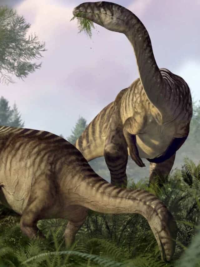 Fossilised poo and vomit tell of  dinosaurs rise