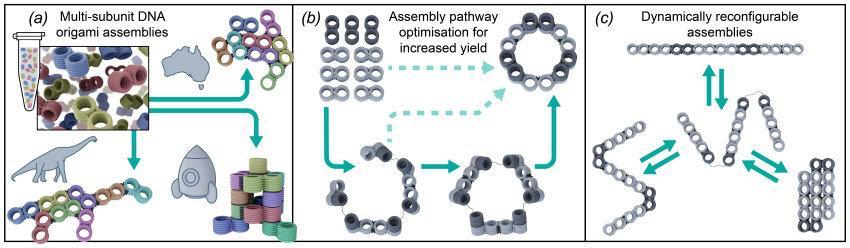 A graphical summary of the research showing how voxels can be strung together in different shapes.