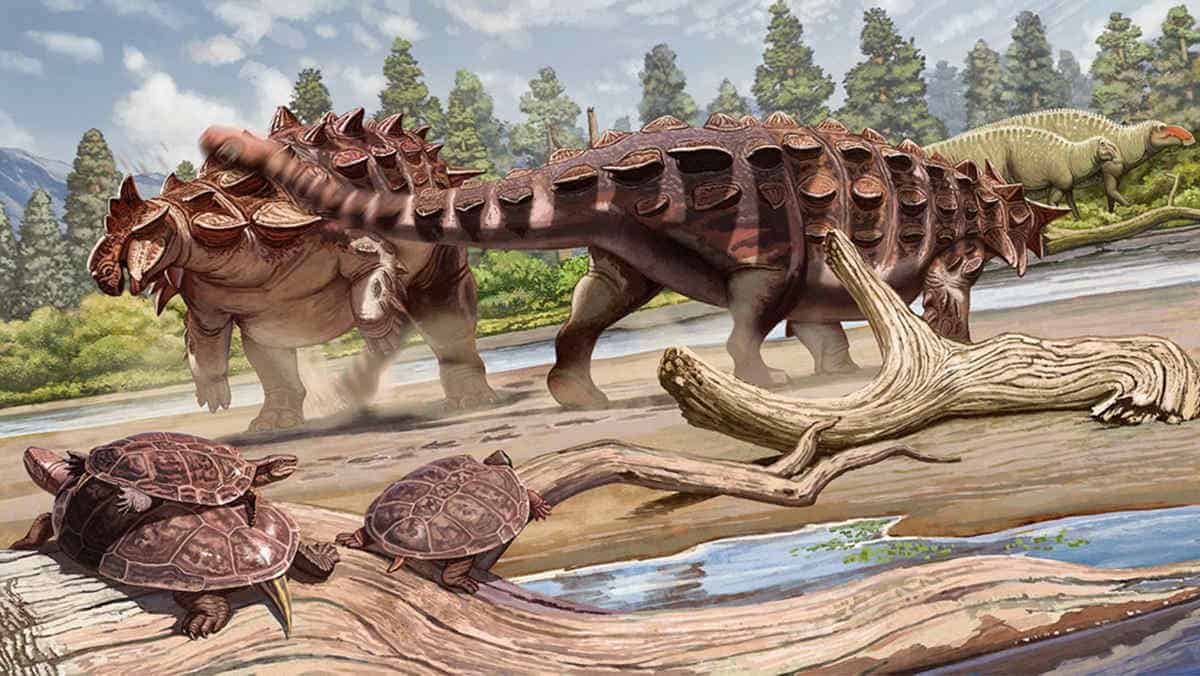 Illustration of two ankylosaurid dinosaurs on river delta