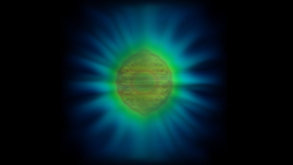 Shining blue green blob