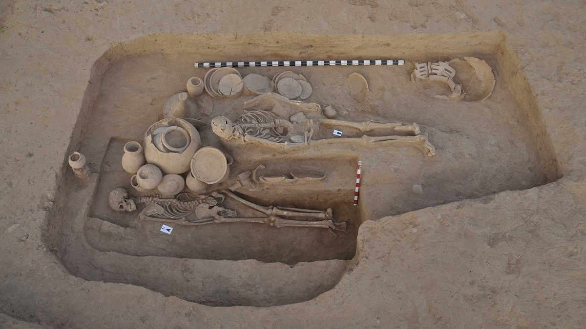 Excavation of human remains