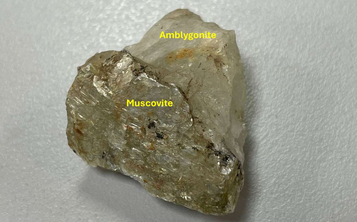 Critical minerals amblygonite and muscovite (CSIRO)