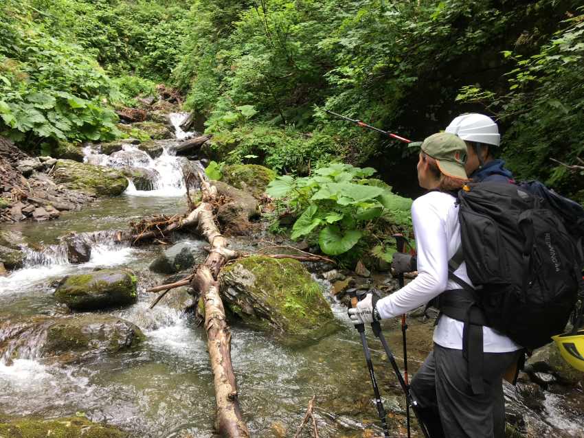 2 people in hiking clothing and gear hike in a lush green forest next to a stream