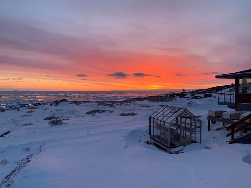 Greenland ice (images: andrew shepherd (northumbria university)