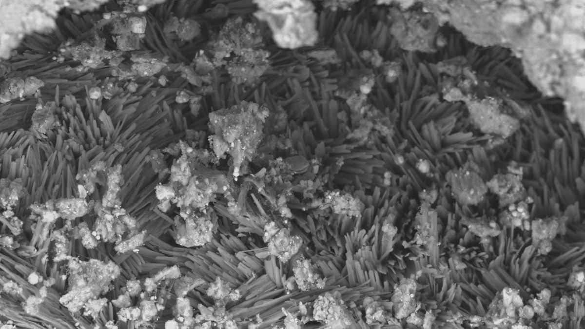 Scanning electron microscope image of crystals from space