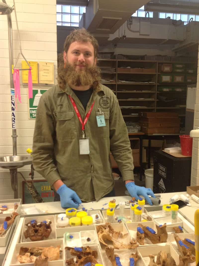 Palaeontologist standing over fossils while wearing blue gloves