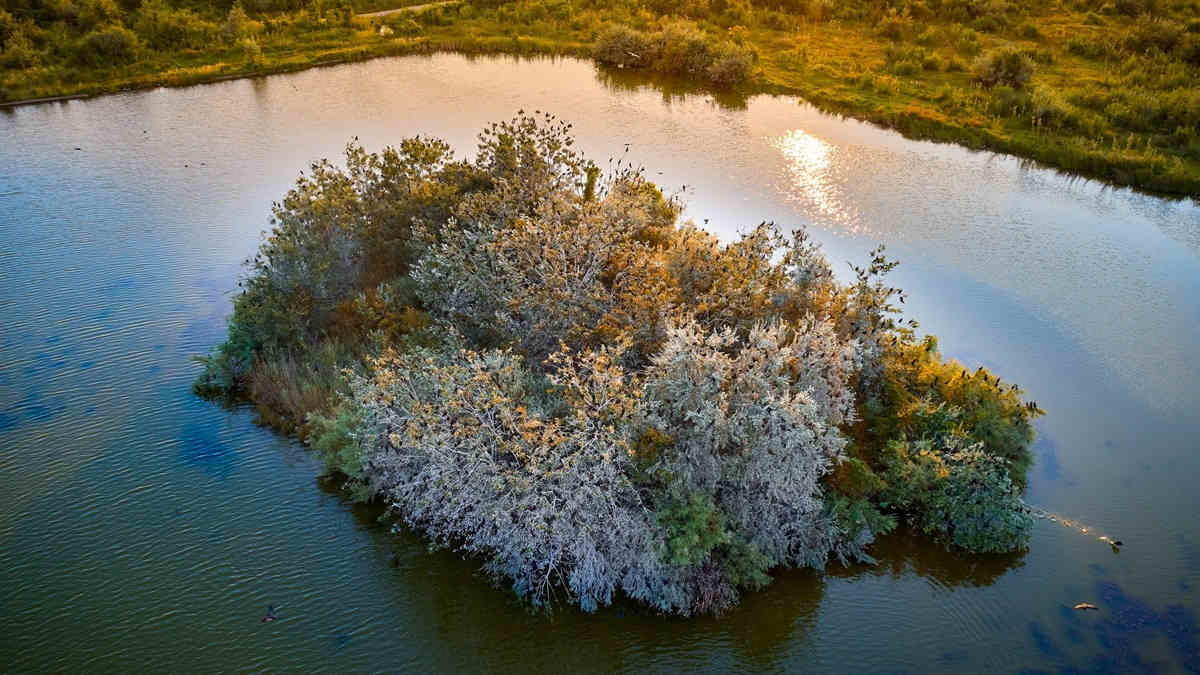 An islet in a romanian river on a sunny day