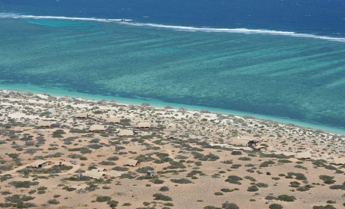 Heatwave impacts Ningaloo Reef (image James D. Morgan/Getty)