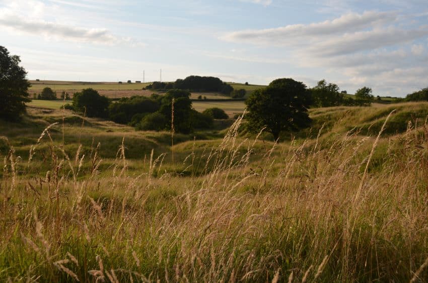 A photograph of the the countryside in the uk