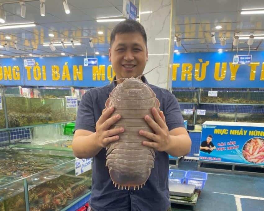 Researcher holds a giant isopod that is about as long as his torso. The background shows a seafood market