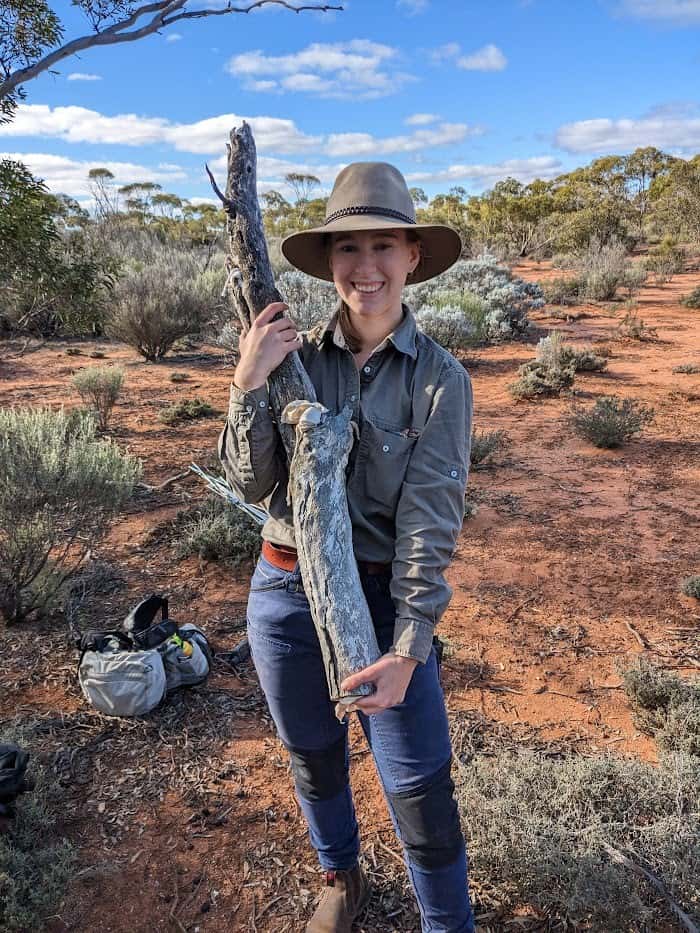 Tessa with columbines log