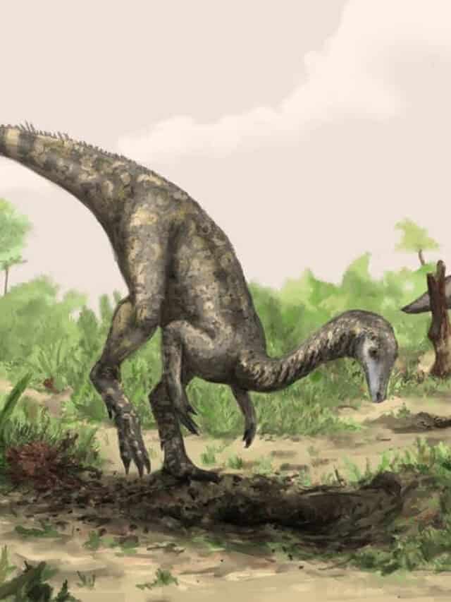 6 newly discovered species dating back to dinosaurs