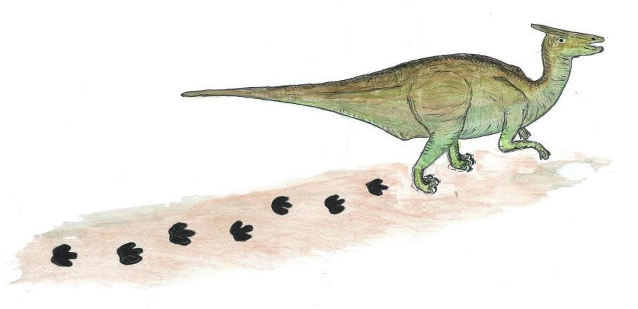 Drawing of green dinosaur leaving footprints