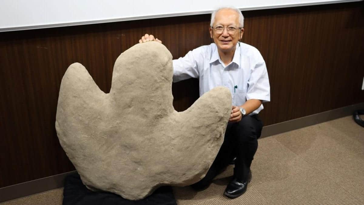 Man in white shirt holding cast of fossil dinosaur footprint