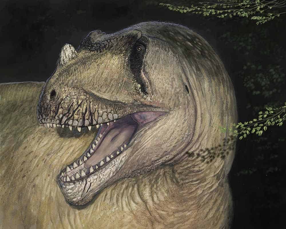 Drawing of dinosaur theropod carnivore with open mouth and nose horn