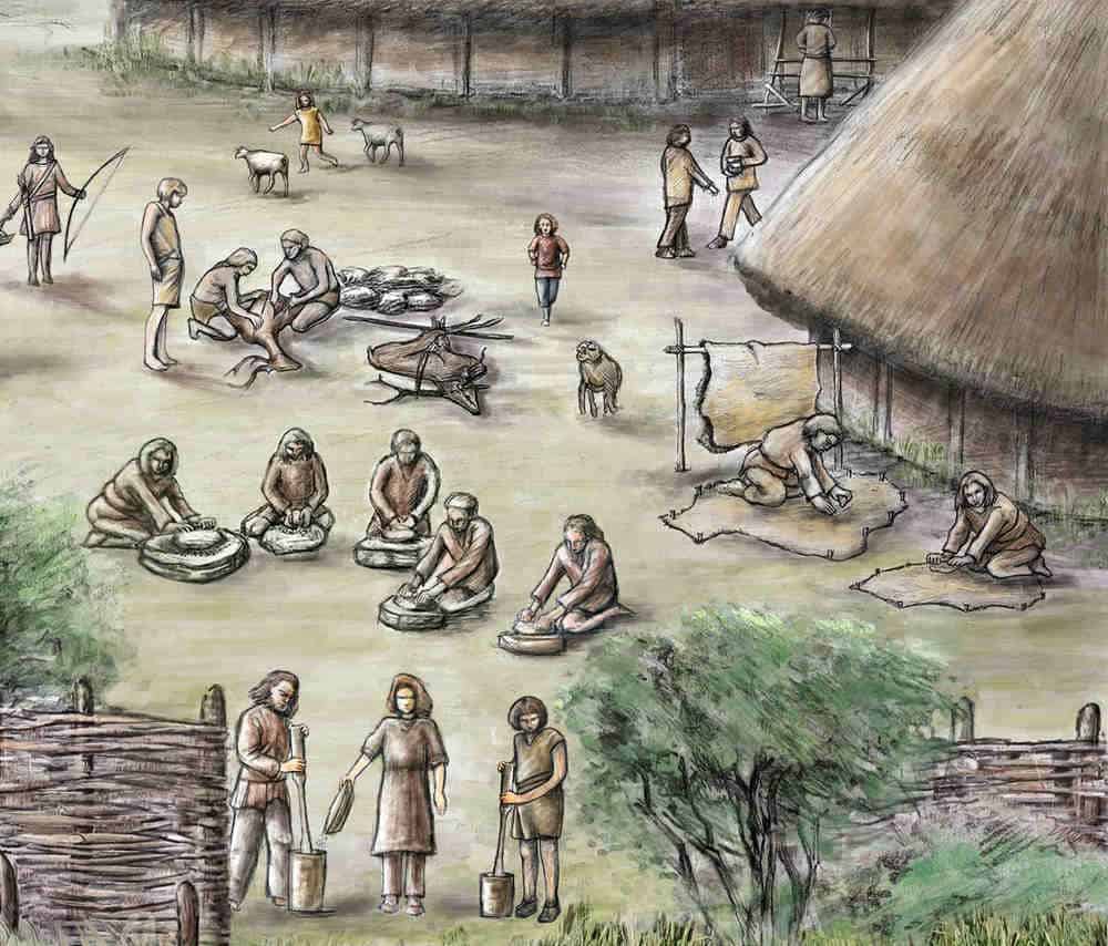 Drawing of neolithic farming village